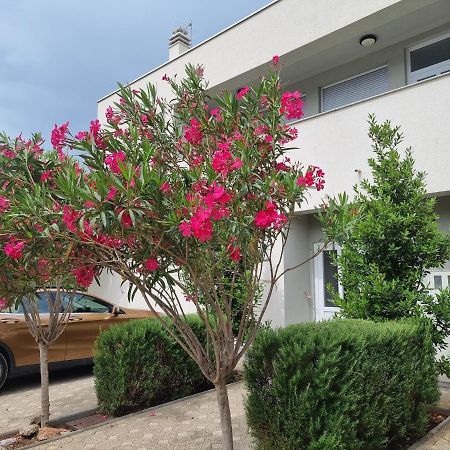 Apartmani Jozic Seline ภายนอก รูปภาพ
