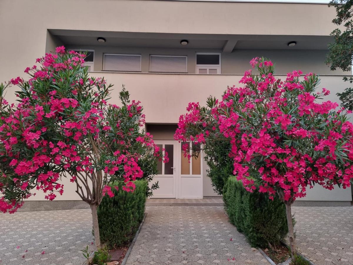 Apartmani Jozic Seline ภายนอก รูปภาพ